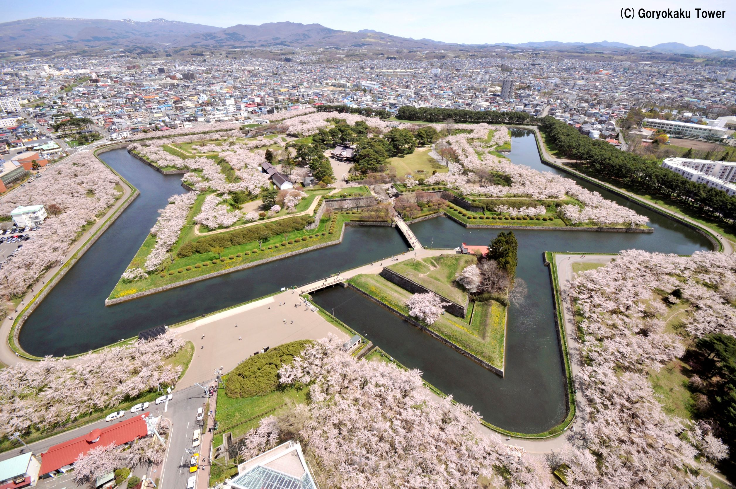 北海道旅行の春の時期を代表する函館五稜郭公園の満開の桜と星形の城郭
